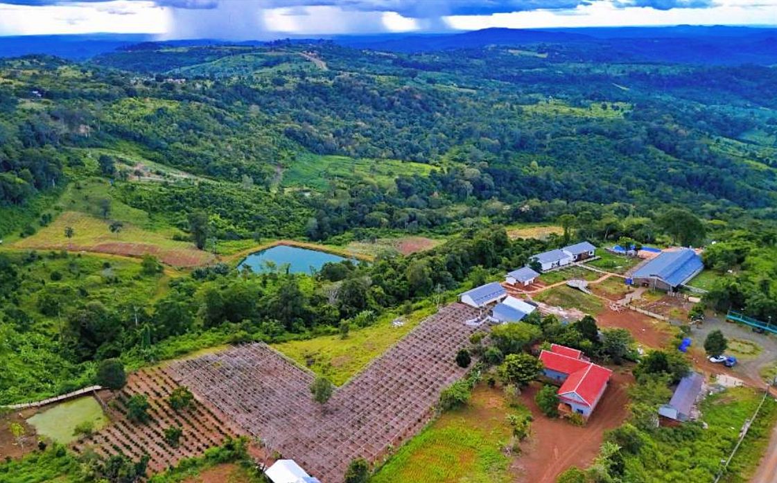 Pida coffee farm in Mondulkiri