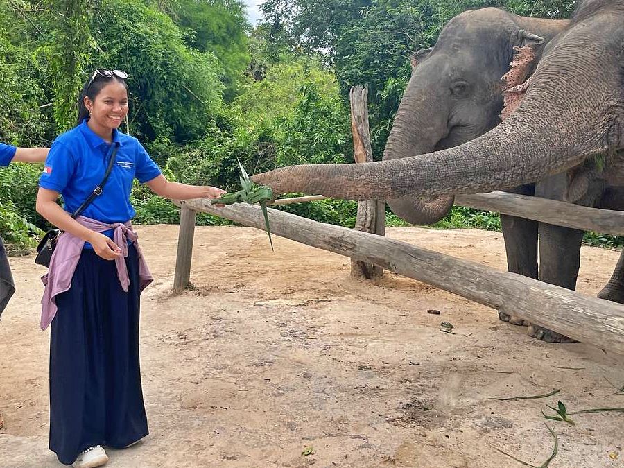 Why i love kulen elephants