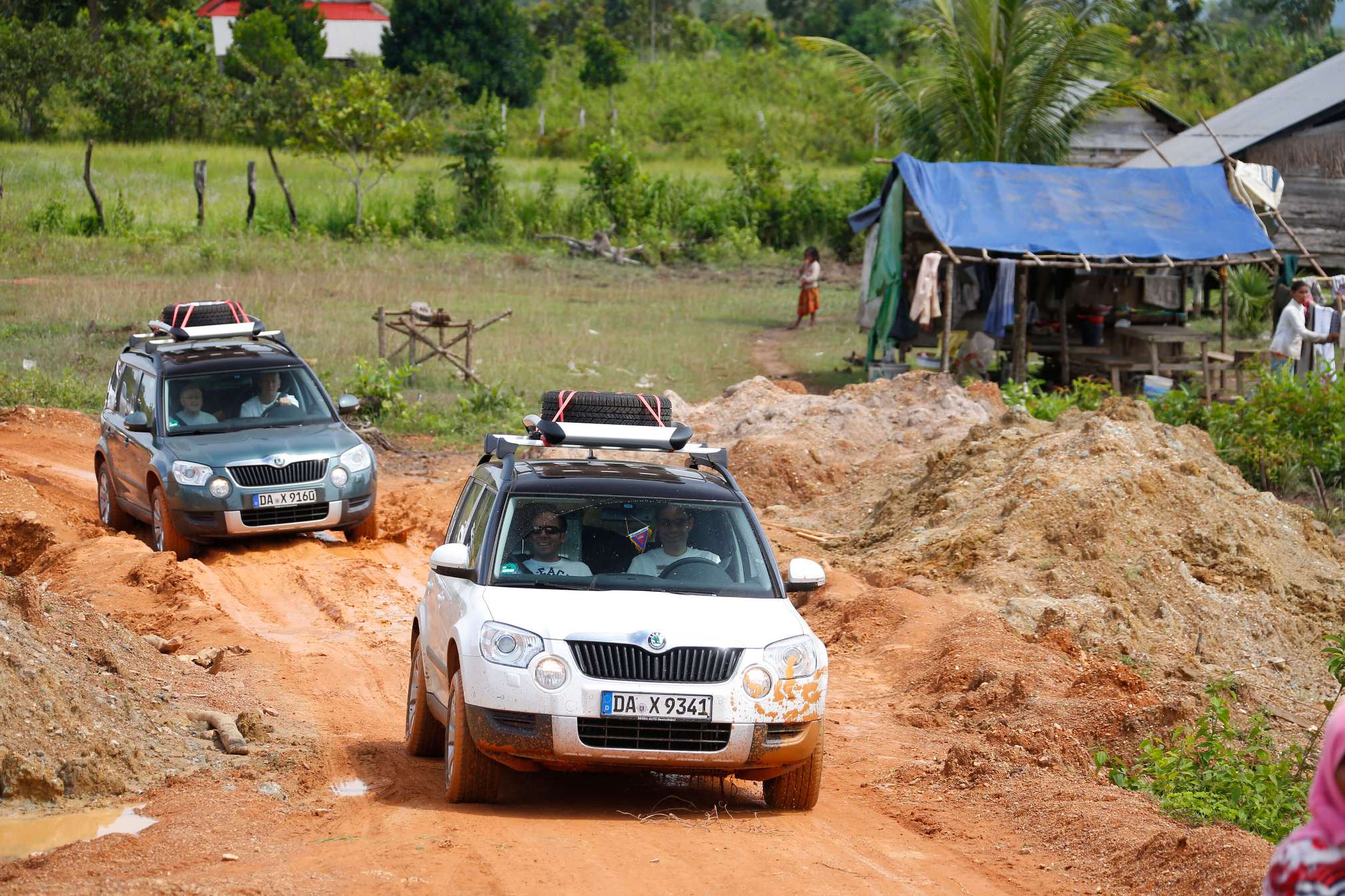 Yeti in the Cardamom mountains