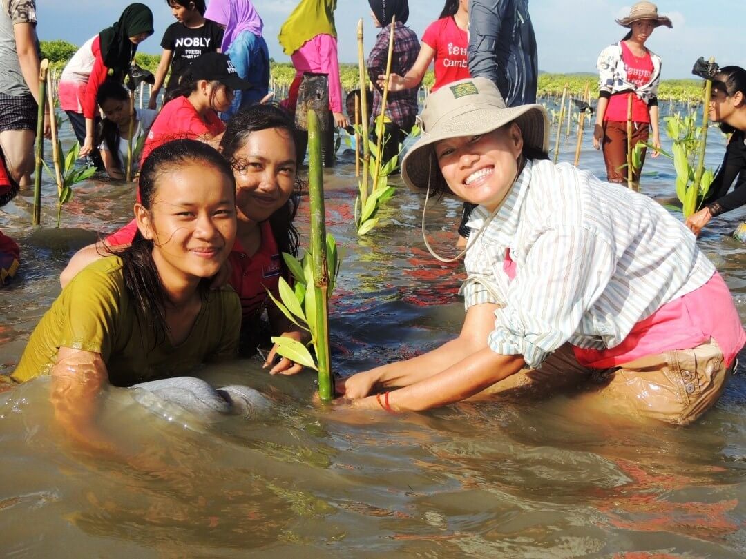 Lily planting mangrove in Kampot