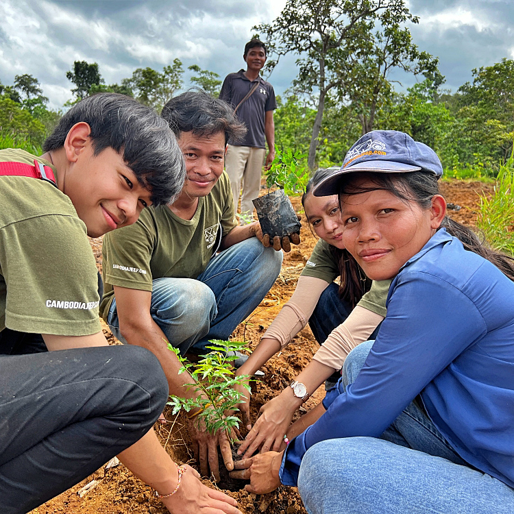 Tree planting monks forestry