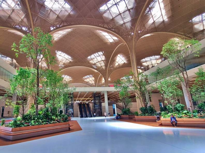 Techo International airport, indoor tree inside the airport.