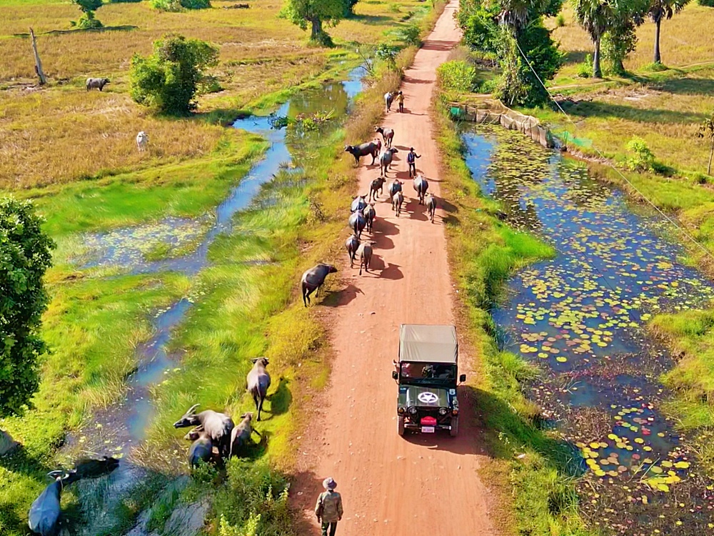Countryside Mystery temple tour