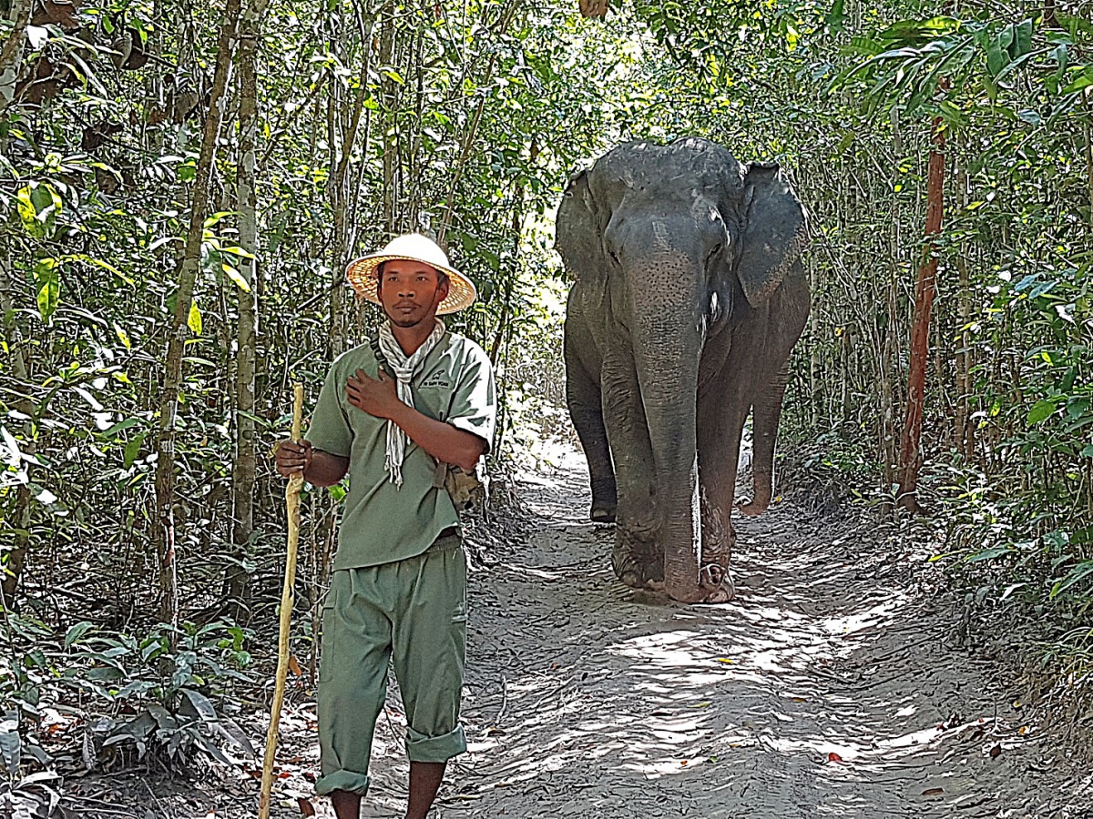 Kulen Elephant Project