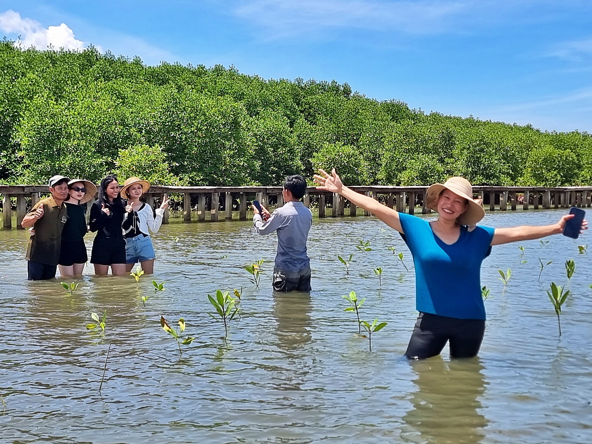 Planting mangrove in Kampot