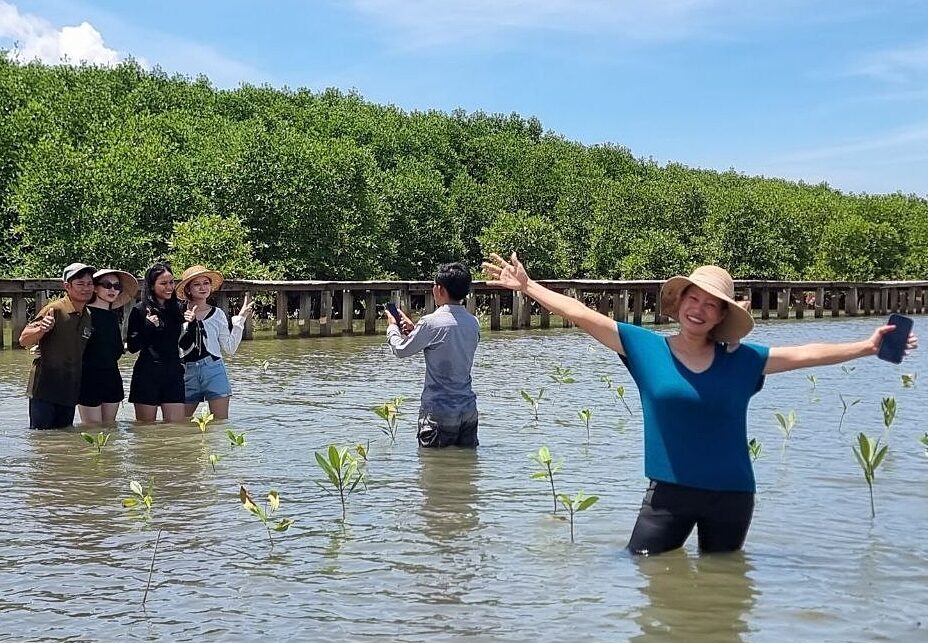 Planting mangrove in Kampot